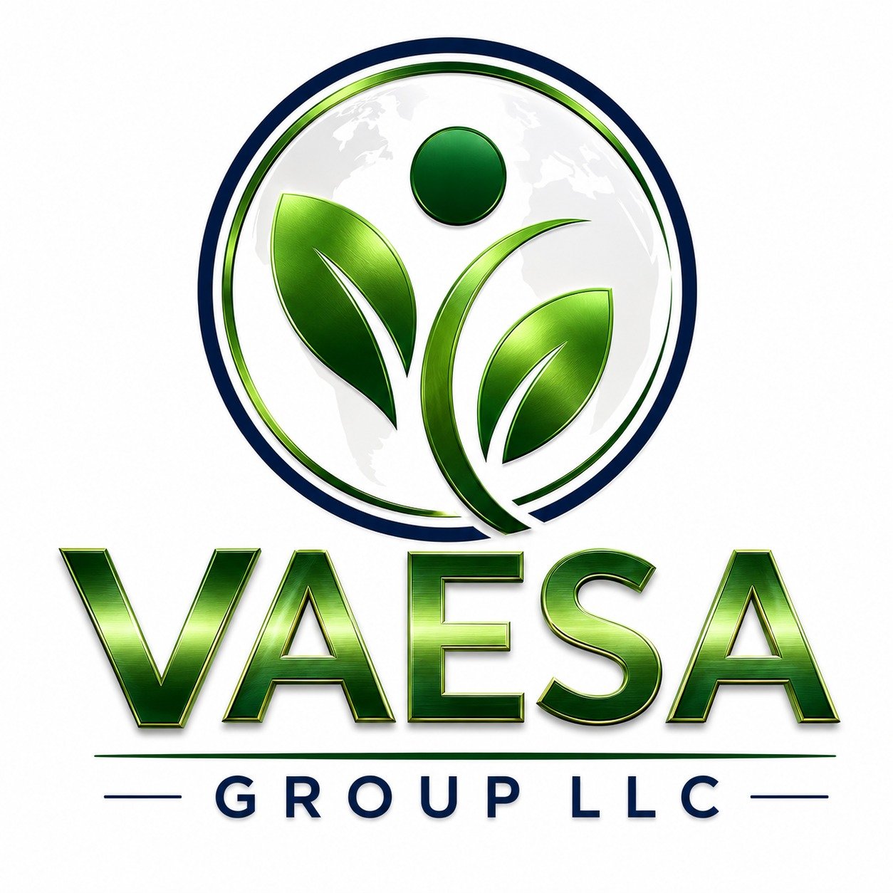 Vaesa Group LLC